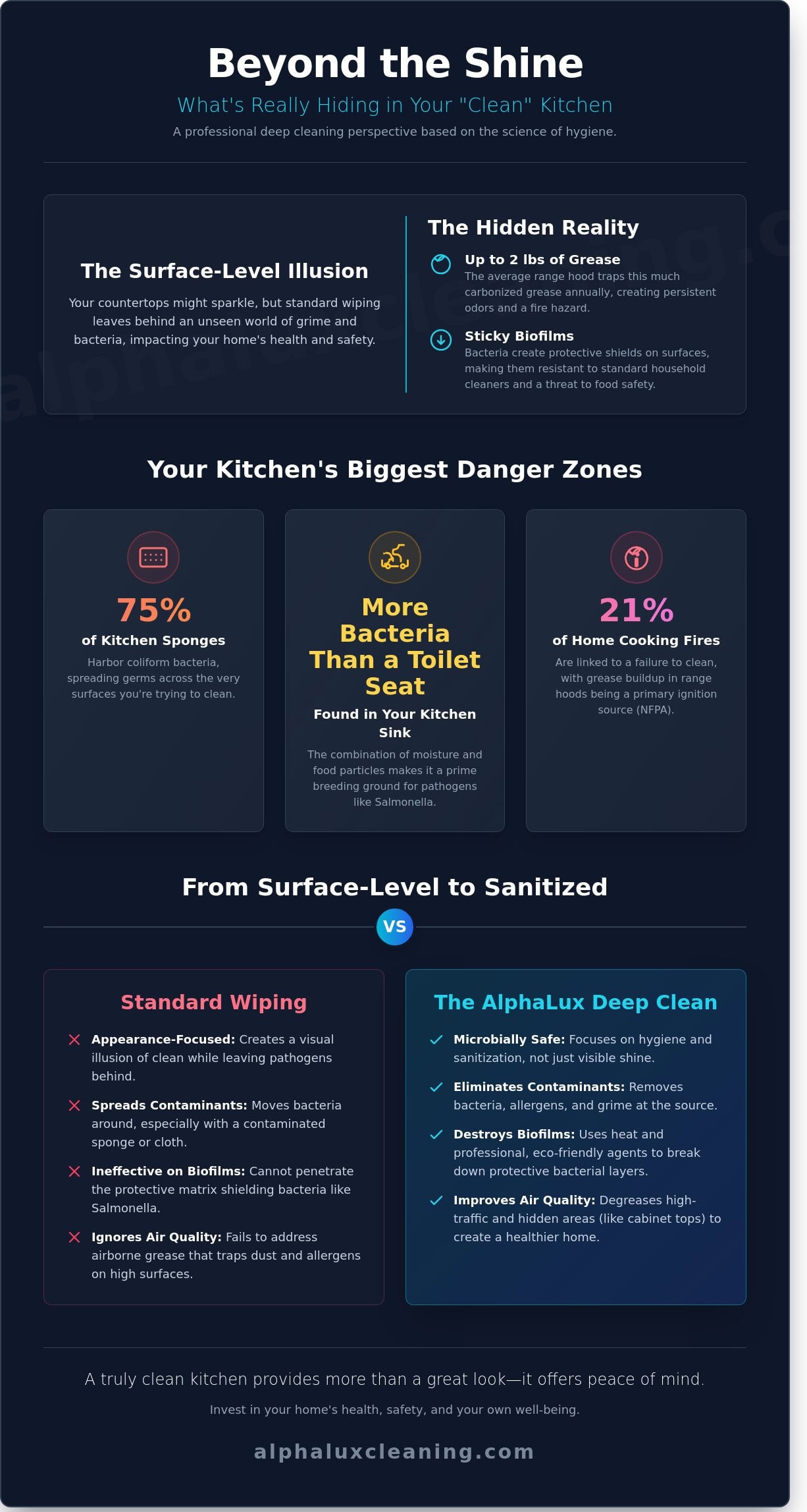 Infographic titled "Beyond the Shine" reveals hidden kitchen germs, main danger zones, and compares standard wiping to deep cleaning. Lists bacteria statistics and shows why NY Cleaning Services Long Island recommends deep cleaning for healthier kitchens.