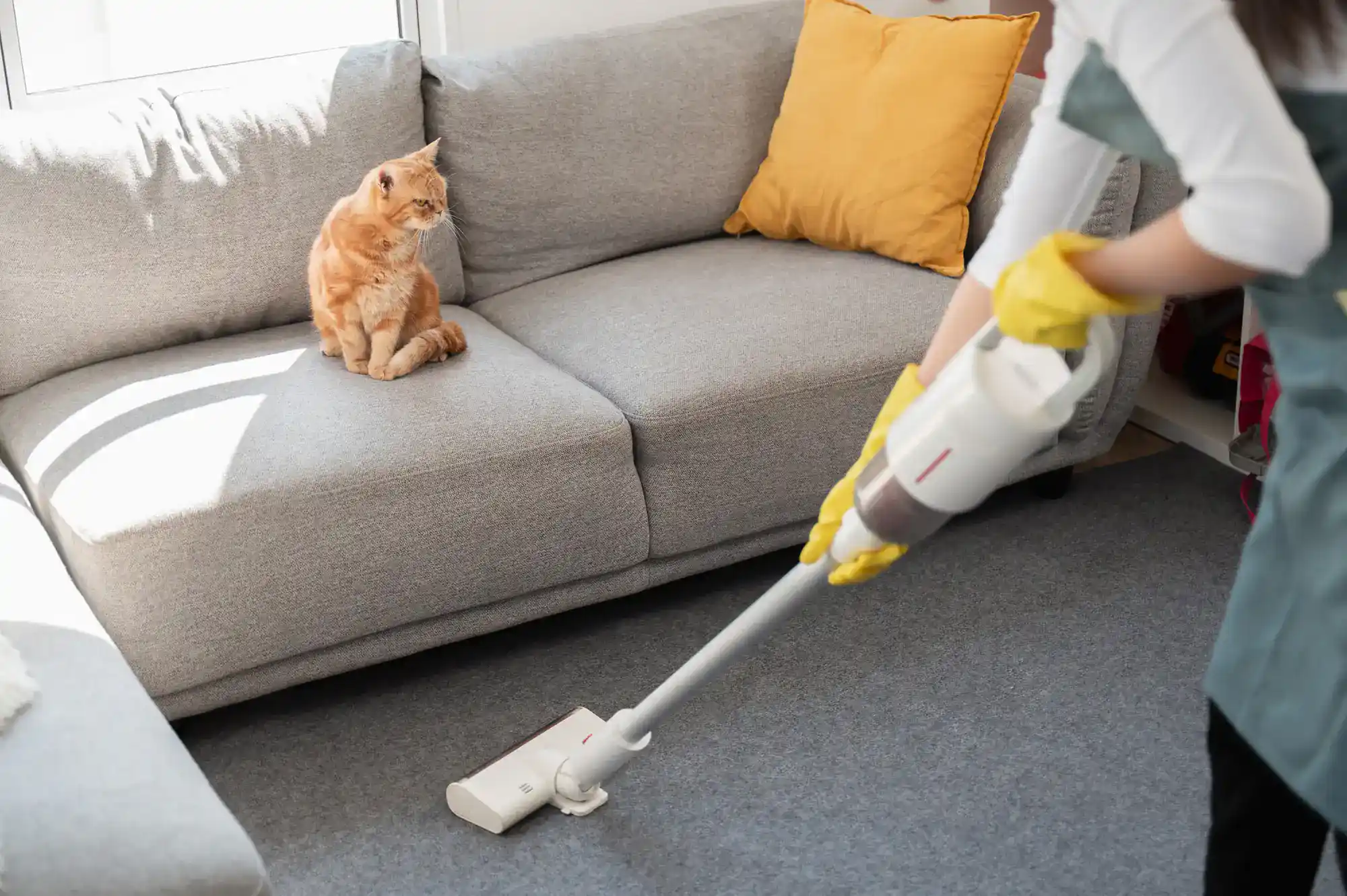 A person wearing yellow gloves vacuums a grey carpet in front of a sofa, while an orange cat watches from beside a yellow pillow&mdash;just another day with Cleaning Services Long Island, NY keeping your home spotless.