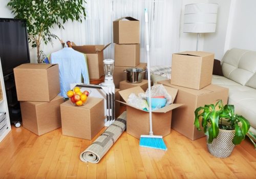 A living room in NY with packed cardboard boxes, a broom, a rolled-up rug, a potted plant, and various household items suggests someone is moving or unpacking—perfect for Cleaning Services Long Island to step in and help tidy up.